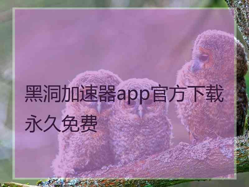 黑洞加速器app官方下载永久免费