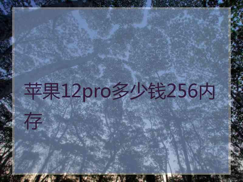 苹果12pro多少钱256内存