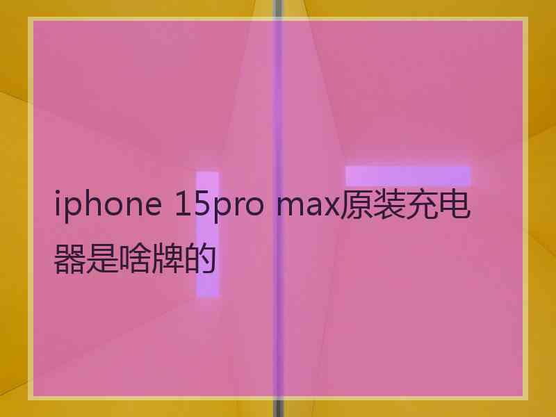 iphone 15pro max原装充电器是啥牌的