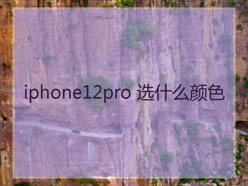 iphone12pro 选什么颜色