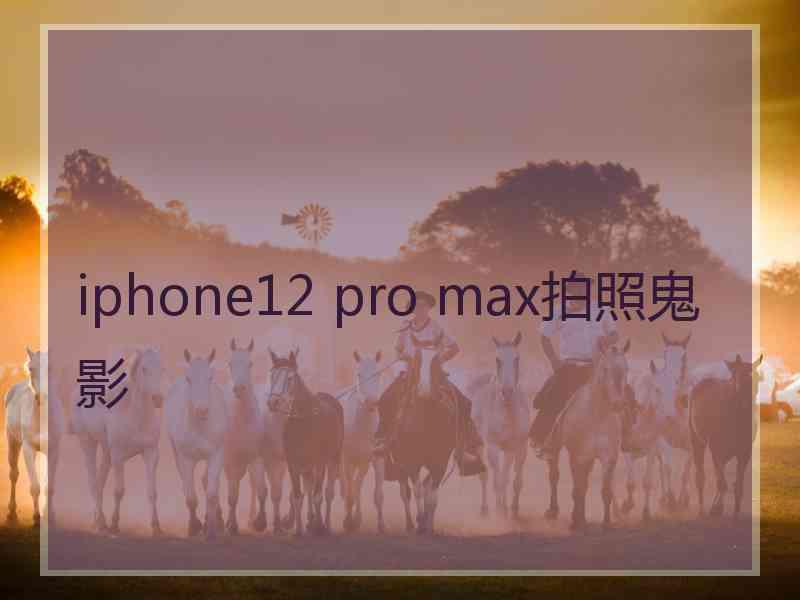 iphone12 pro max拍照鬼影