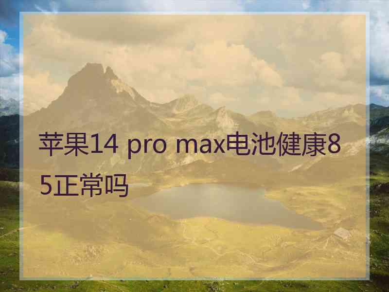 苹果14 pro max电池健康85正常吗