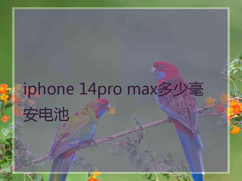 iphone 14pro max多少毫安电池