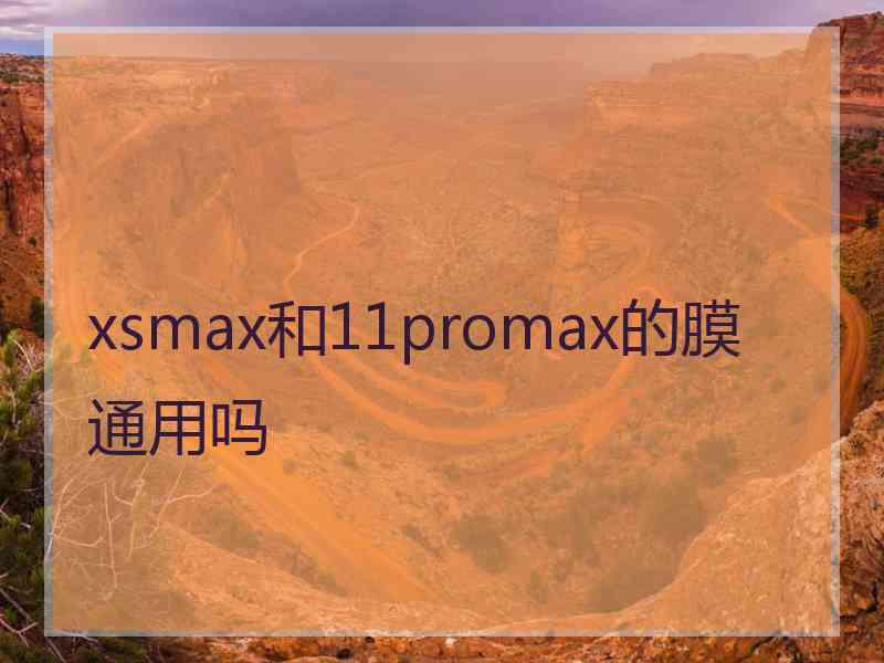 xsmax和11promax的膜通用吗