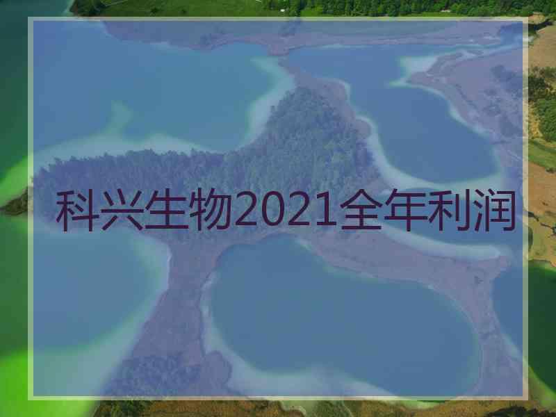 科兴生物2021全年利润