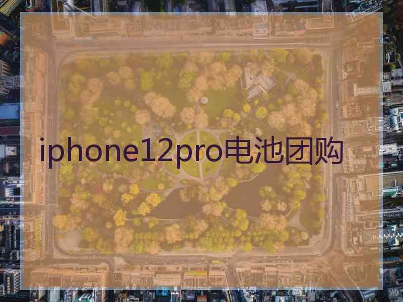 iphone12pro电池团购