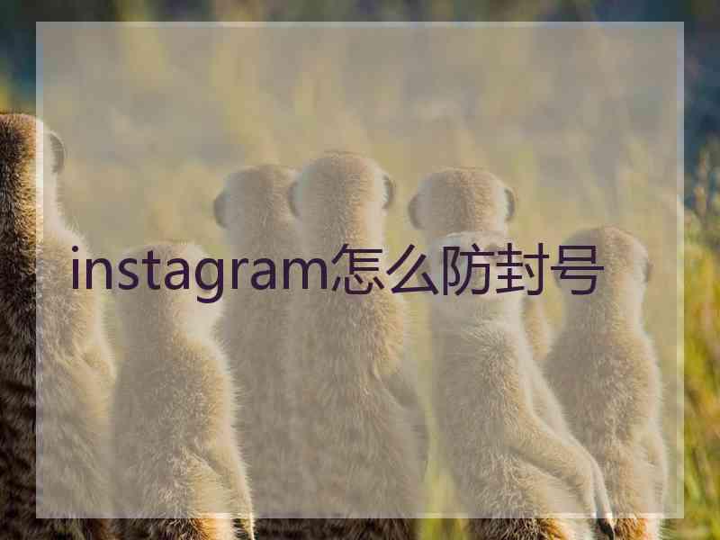 instagram怎么防封号