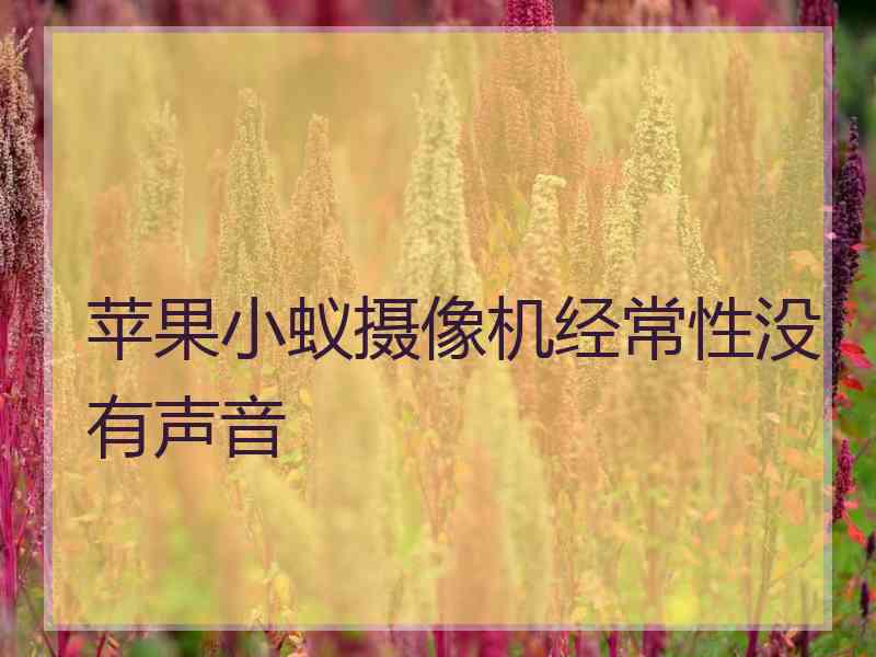 苹果小蚁摄像机经常性没有声音