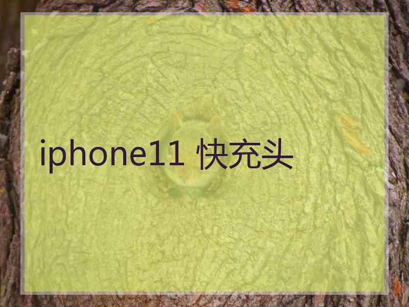 iphone11 快充头