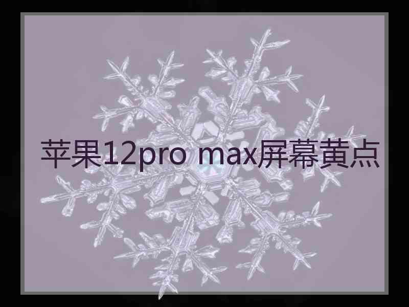 苹果12pro max屏幕黄点