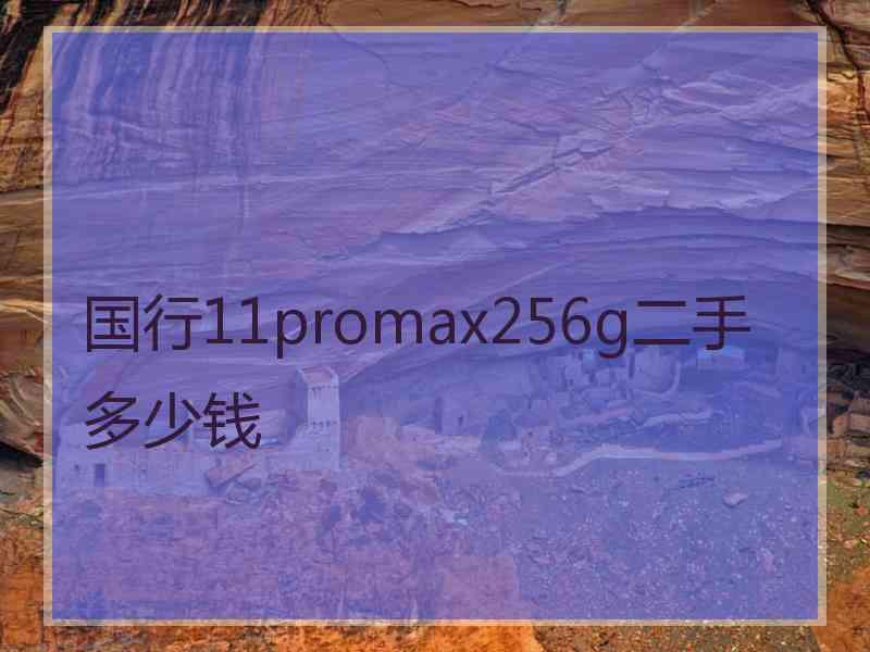 国行11promax256g二手多少钱