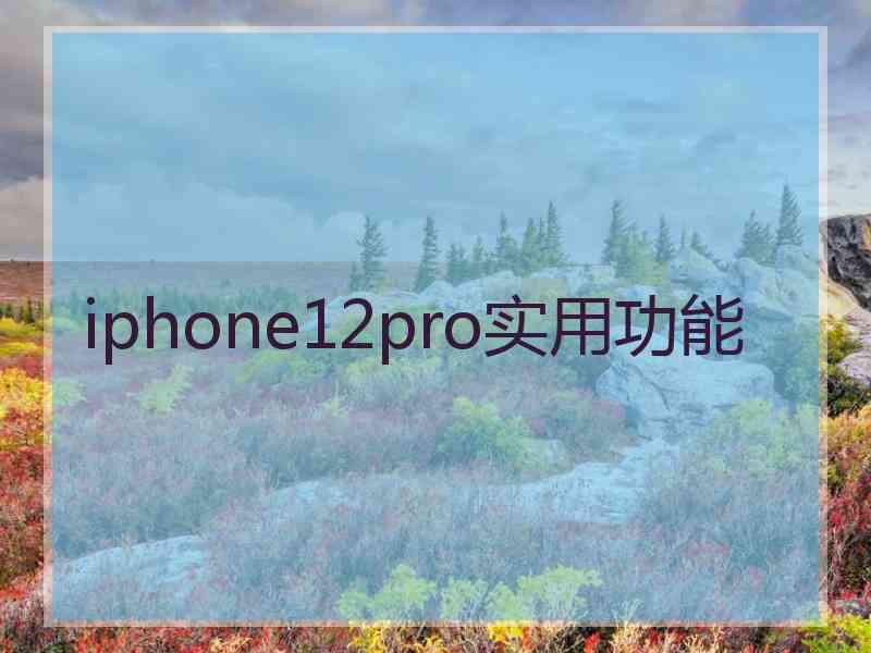 iphone12pro实用功能