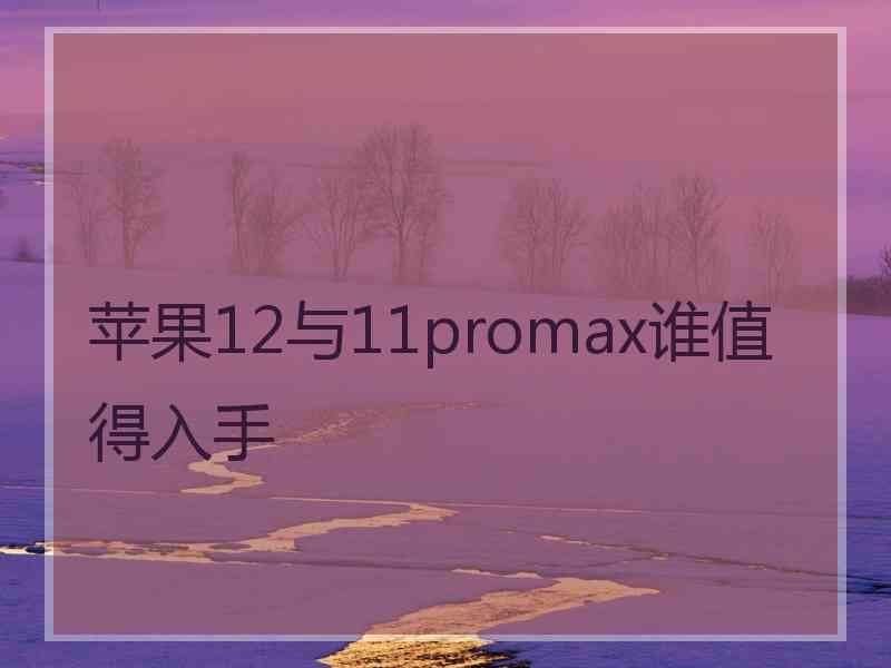 苹果12与11promax谁值得入手