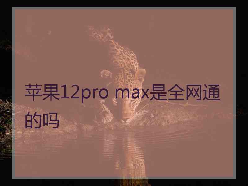 苹果12pro max是全网通的吗