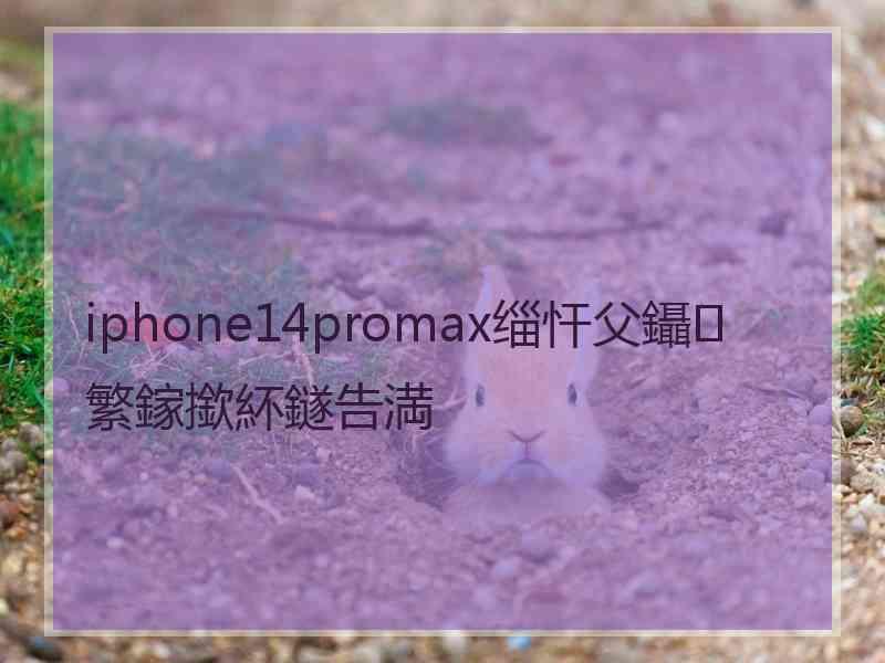 iphone14promax缁忓父鑷繁鎵撳紑鐩告満