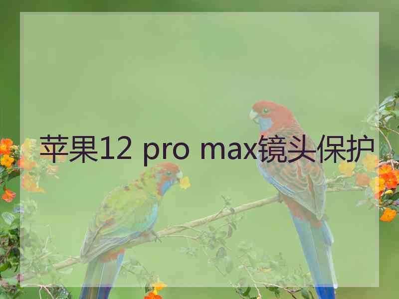 苹果12 pro max镜头保护