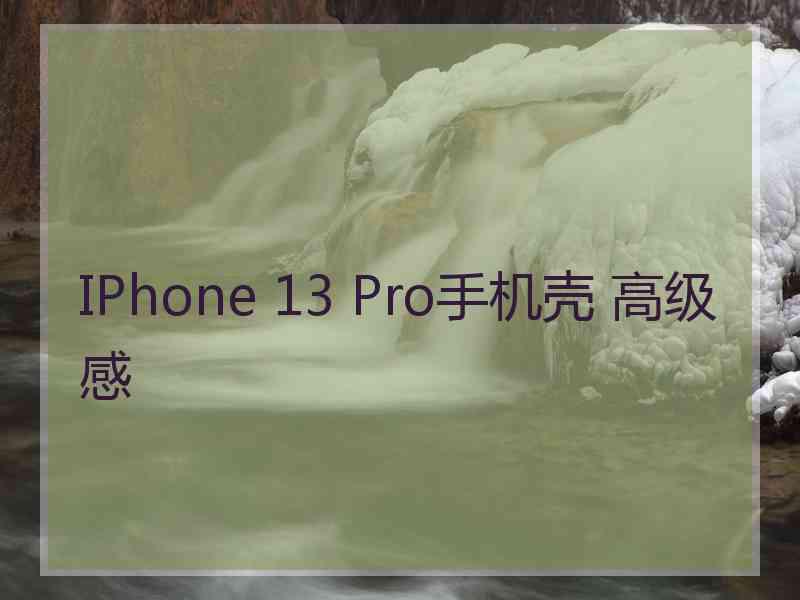 IPhone 13 Pro手机壳 高级感