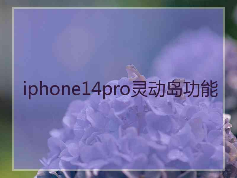 iphone14pro灵动岛功能