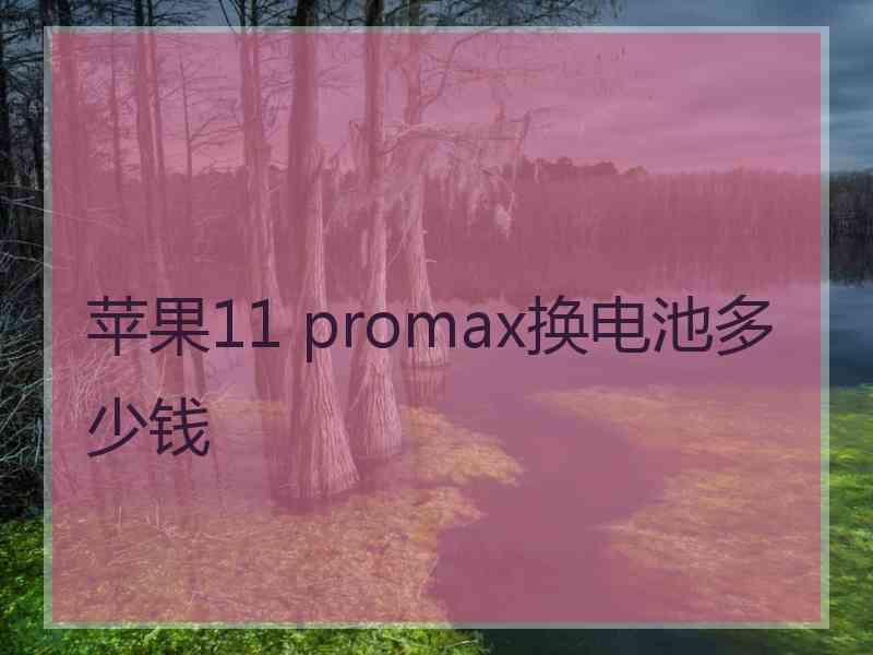 苹果11 promax换电池多少钱