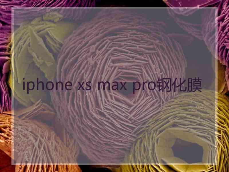 iphone xs max pro钢化膜