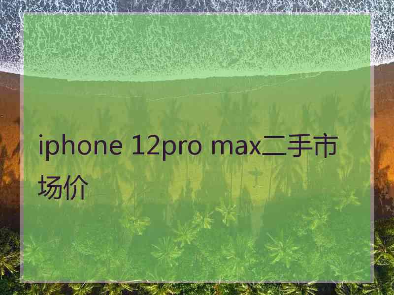 iphone 12pro max二手市场价