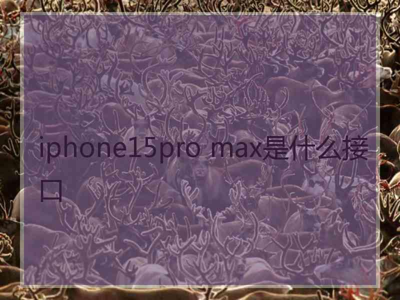 iphone15pro max是什么接口