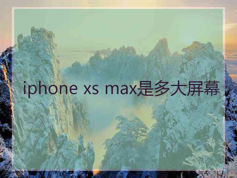 iphone xs max是多大屏幕