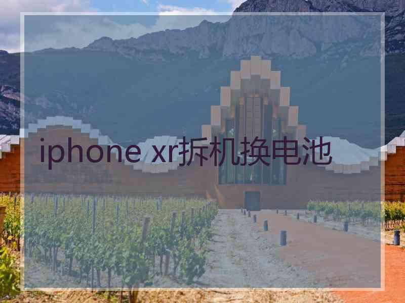 iphone xr拆机换电池