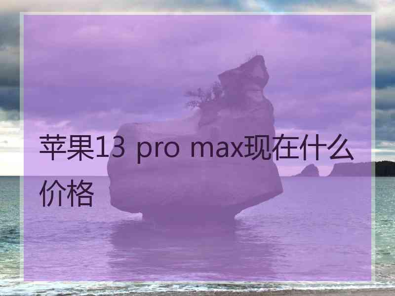 苹果13 pro max现在什么价格