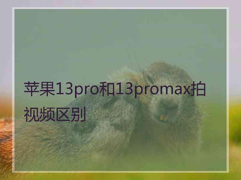 苹果13pro和13promax拍视频区别