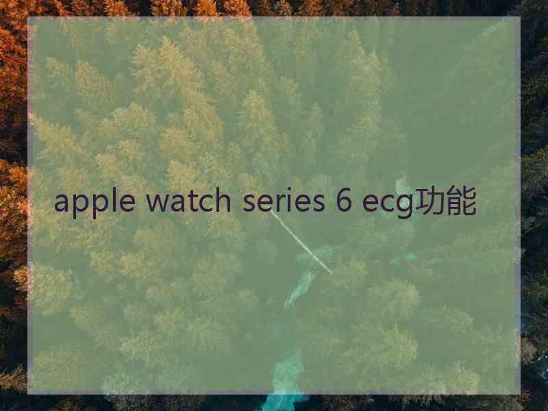 apple watch series 6 ecg功能