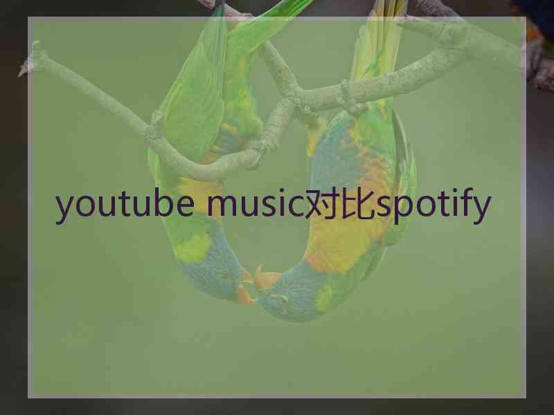 youtube music对比spotify