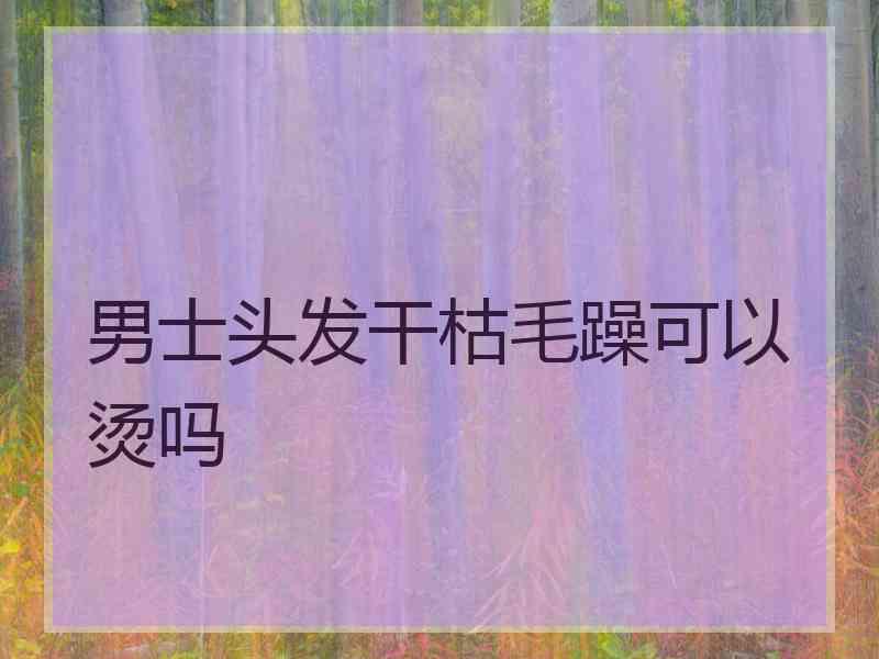 男士头发干枯毛躁可以烫吗