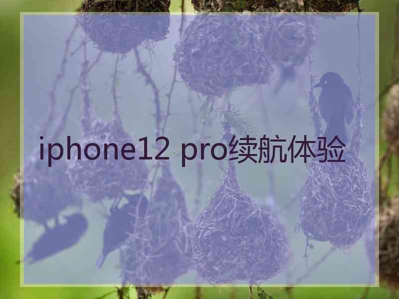 iphone12 pro续航体验