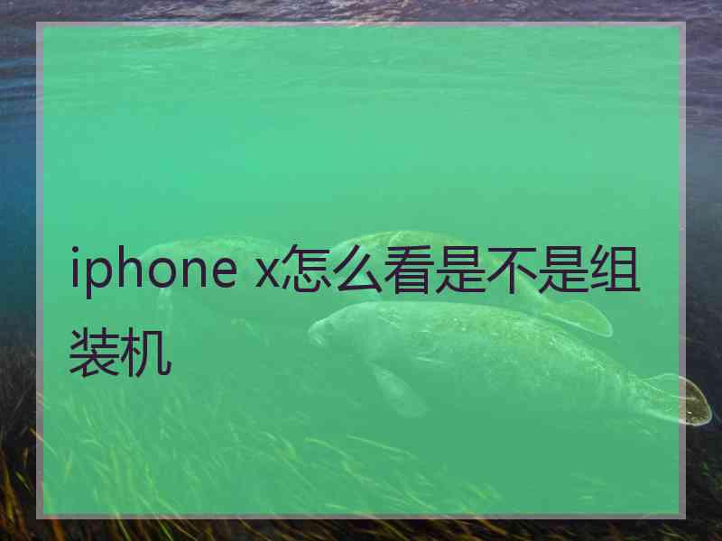 iphone x怎么看是不是组装机