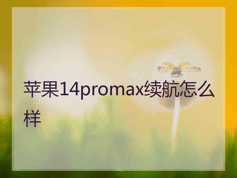 苹果14promax续航怎么样