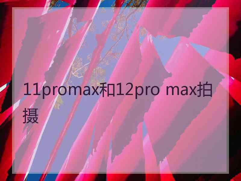 11promax和12pro max拍摄