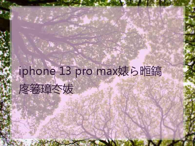 iphone 13 pro max婊ら暅鎬庝箞璋冭妭