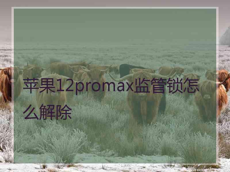 苹果12promax监管锁怎么解除