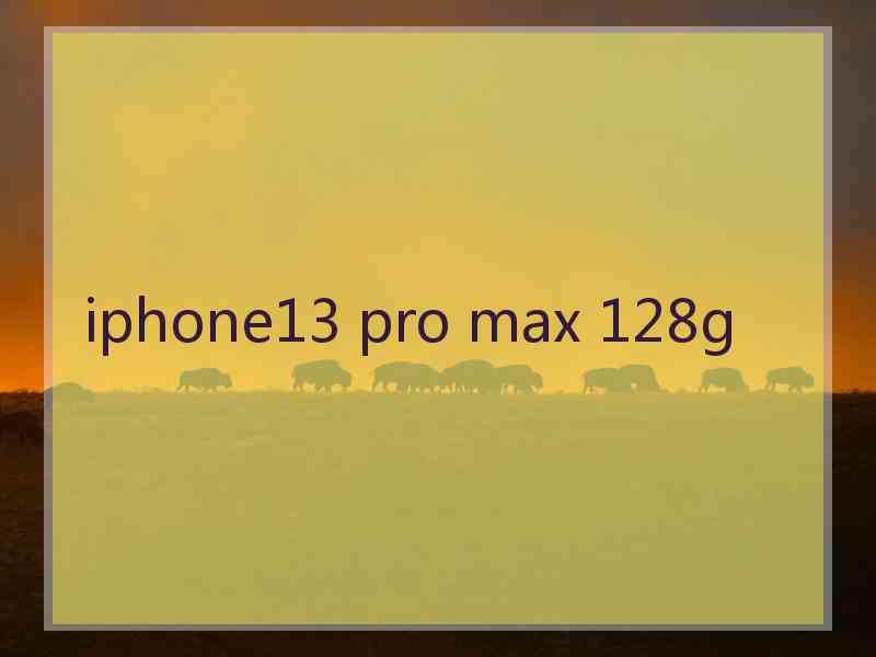 iphone13 pro max 128g