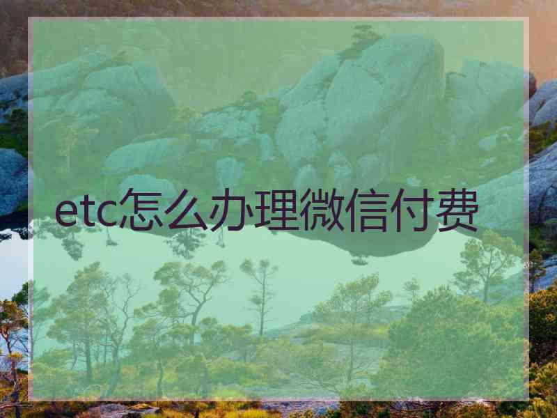 etc怎么办理微信付费