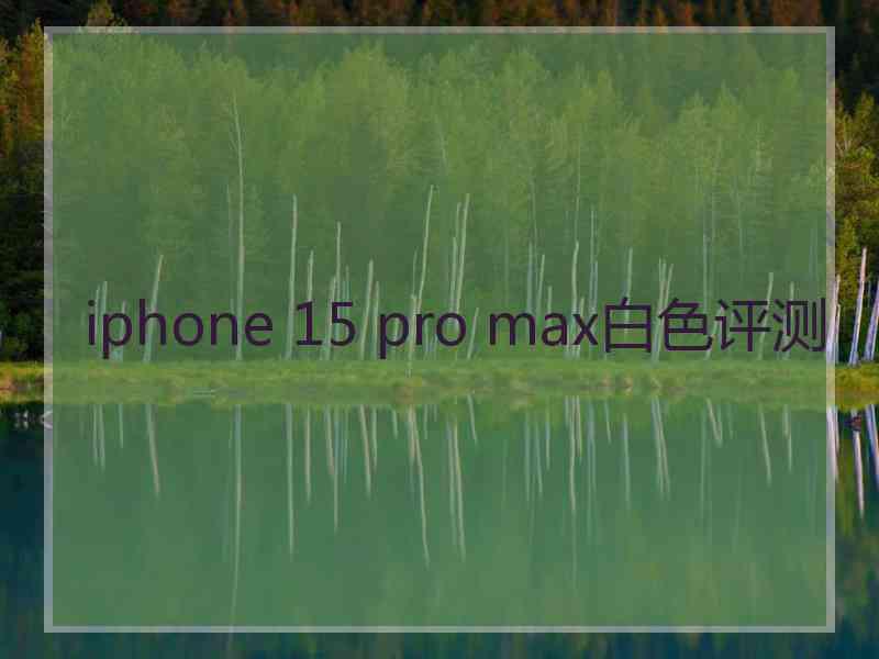 iphone 15 pro max白色评测