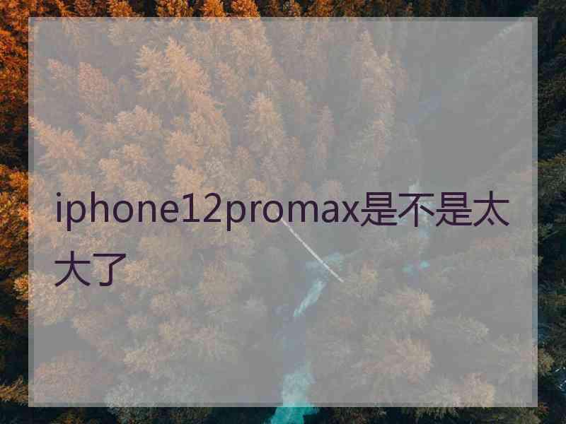 iphone12promax是不是太大了