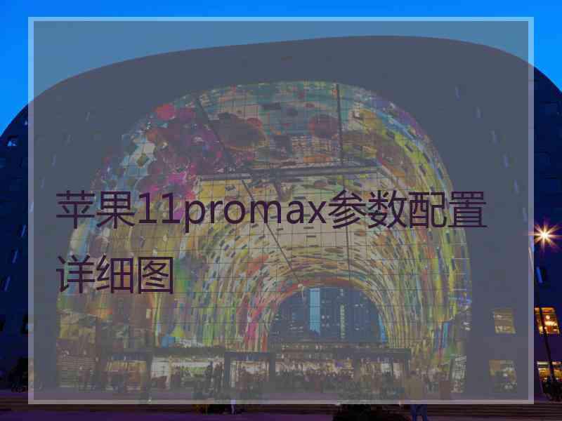 苹果11promax参数配置详细图