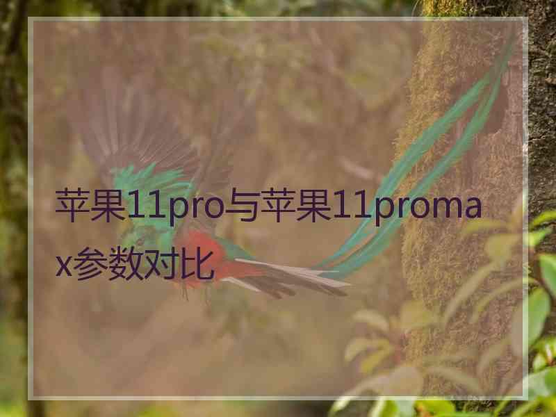 苹果11pro与苹果11promax参数对比