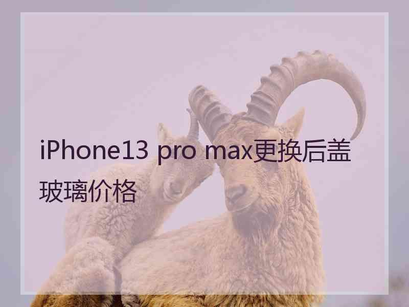 iPhone13 pro max更换后盖玻璃价格