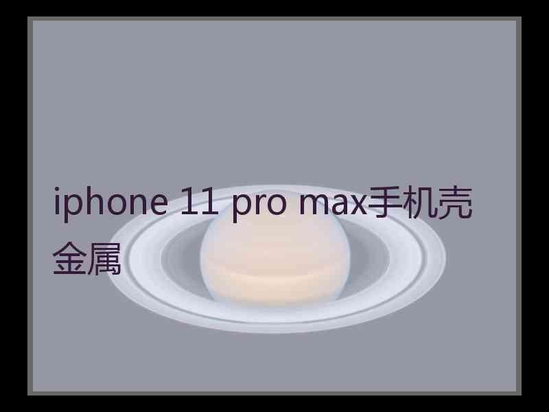 iphone 11 pro max手机壳金属