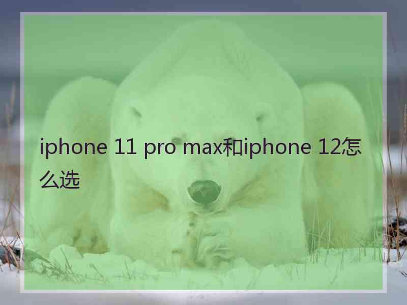 iphone 11 pro max和iphone 12怎么选