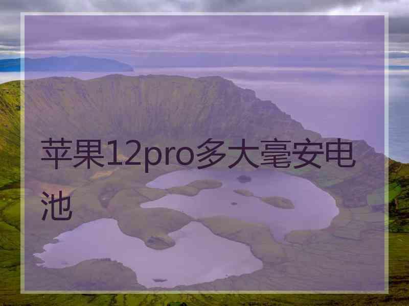 苹果12pro多大毫安电池