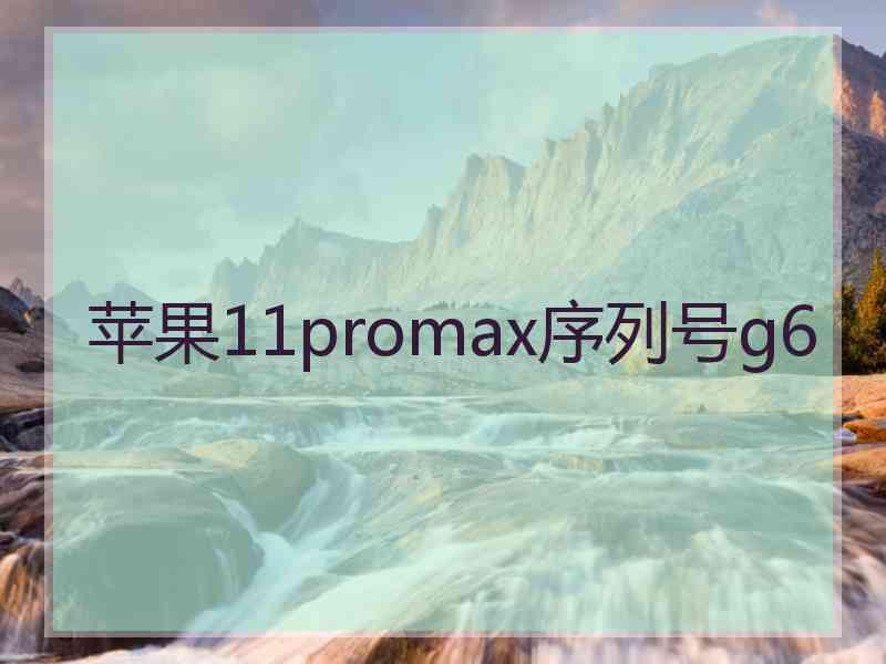 苹果11promax序列号g6